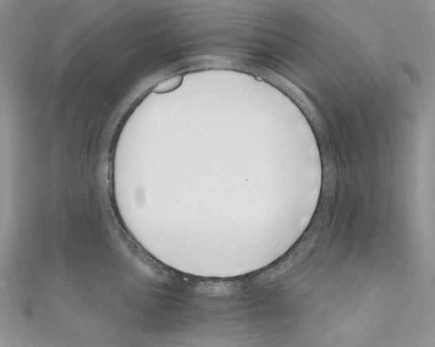 X0000110671051200907241018