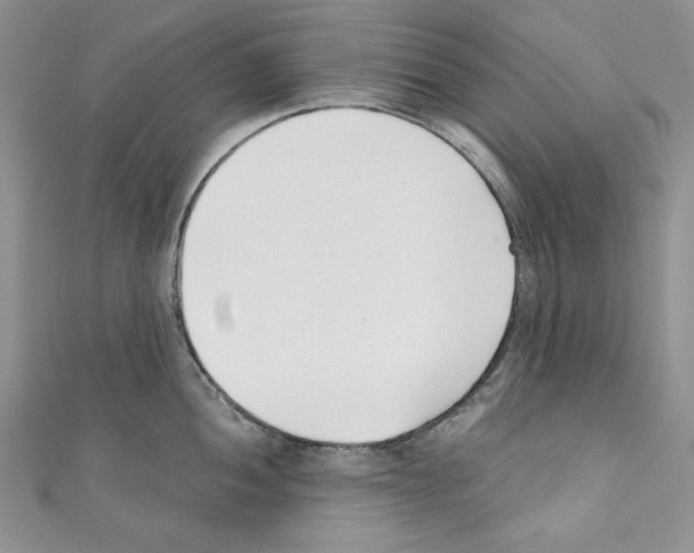 X0000110671052200907241018