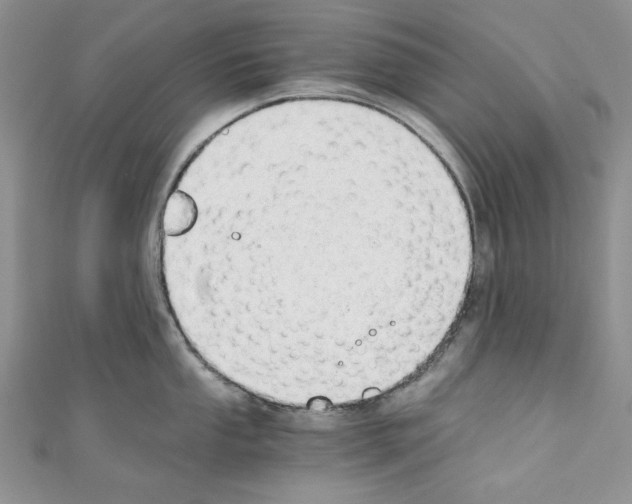 X0000110671053200907241018