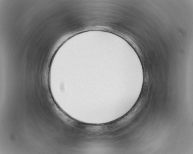 X0000110671054200907241018