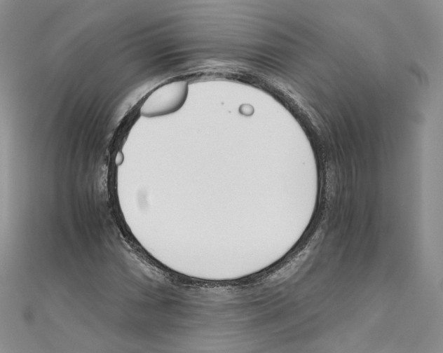 X0000110671066200907241017
