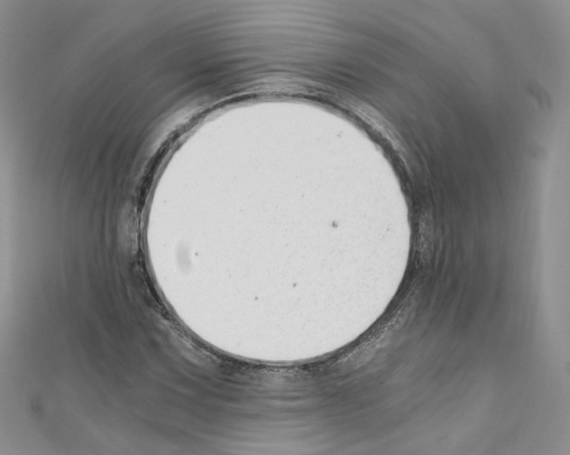 X0000110671067200907241017