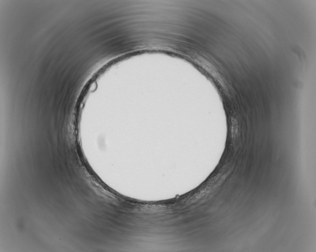X0000110671068200907241017
