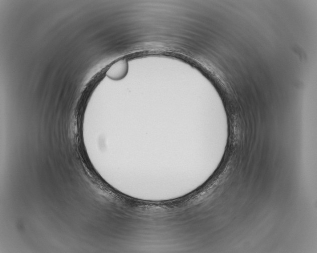 X0000110671070200907241017