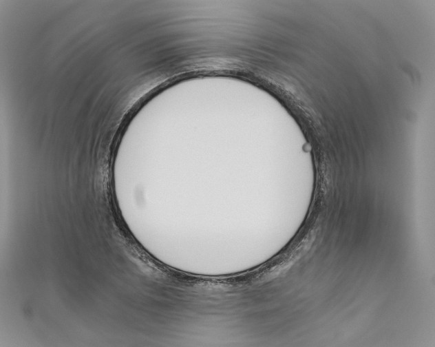 X0000110671073200907241017