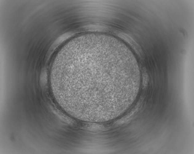 X0000110671074200907241017
