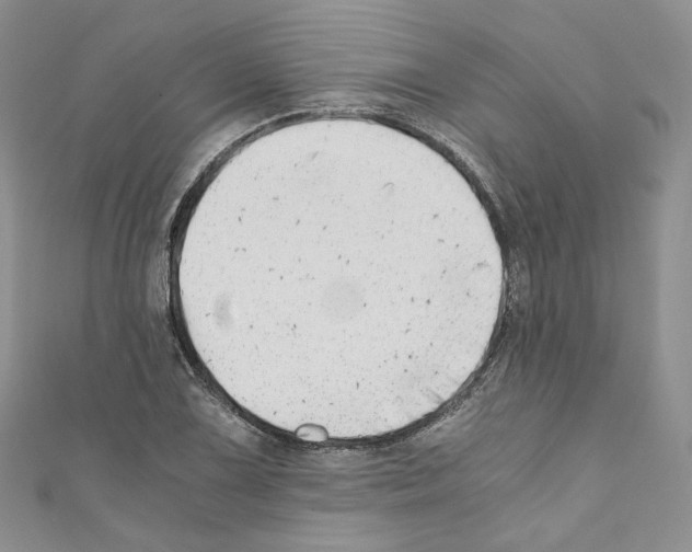 X0000110671075200907241017