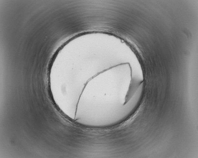 X0000110671077200907241017