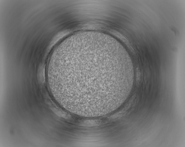 X0000110671078200907241017