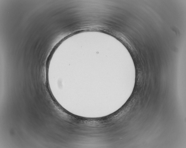 X0000110671079200907241017