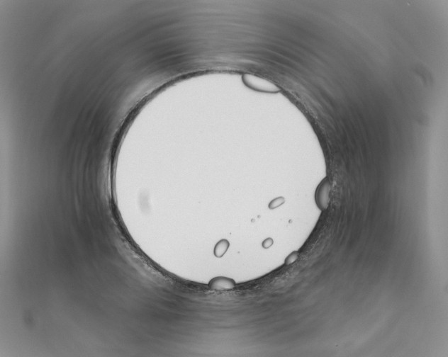 X0000110671080200907241017
