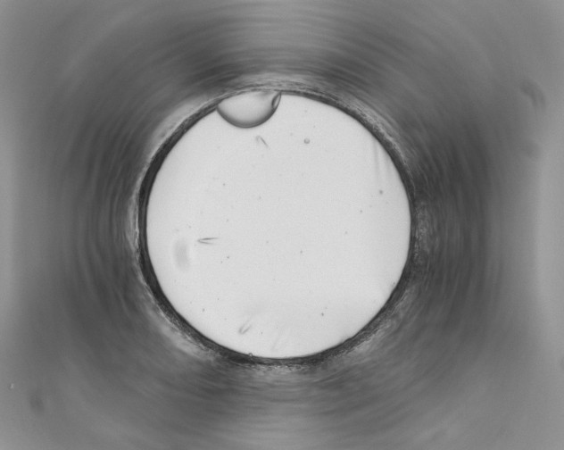 X0000110671082200907241017