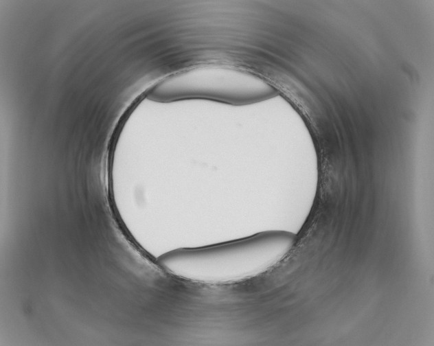 X0000110671084200907241017