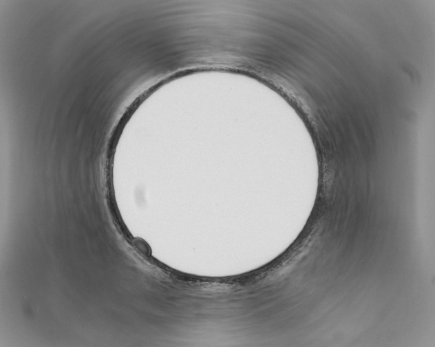 X0000110671085200907241017