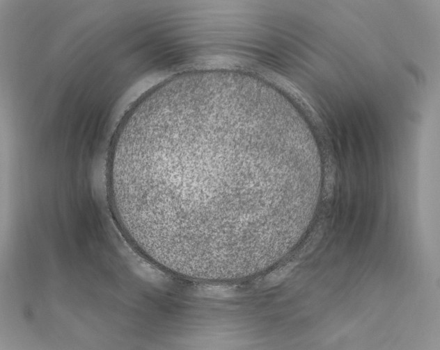 X0000110671086200907241017