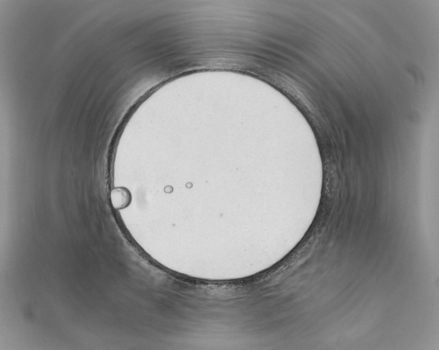 X0000110671087200907241017