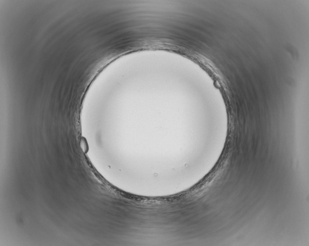 X0000110671089200907241017