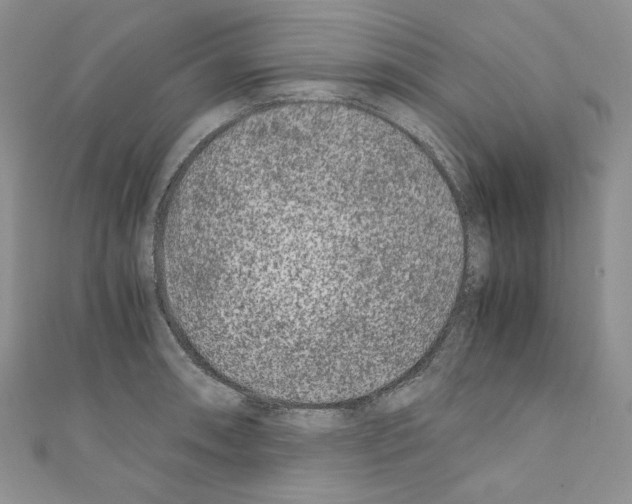 X0000110671090200907241017