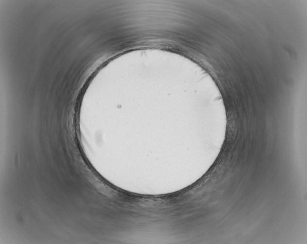 X0000110671091200907241017