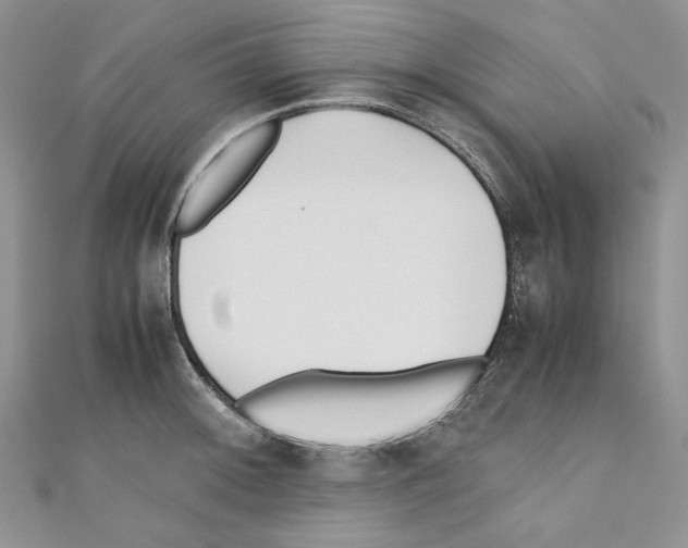 X0000110671092200907241017