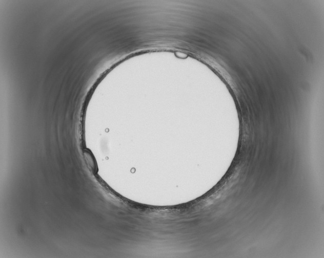 X0000110671093200907241017