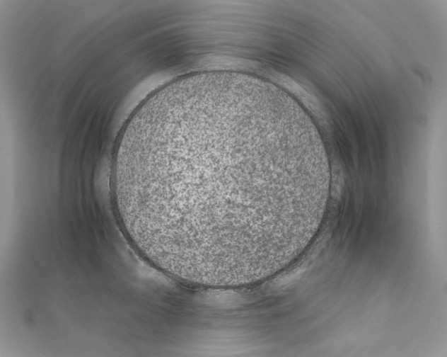 X0000110671094200907241017