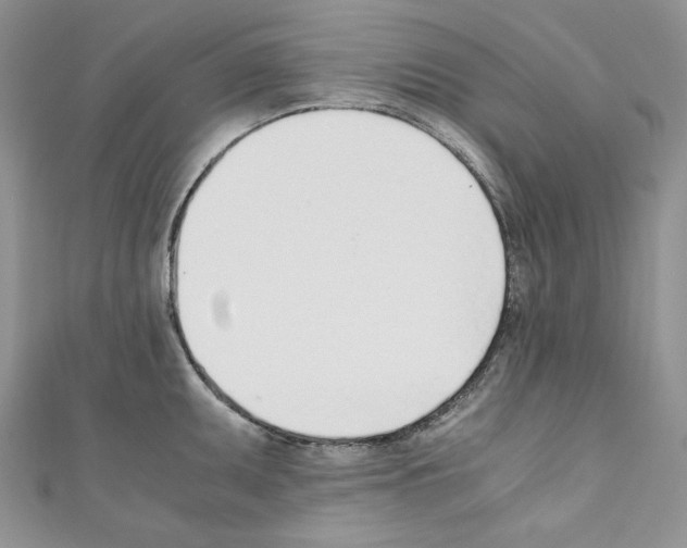 X0000110671095200907241017