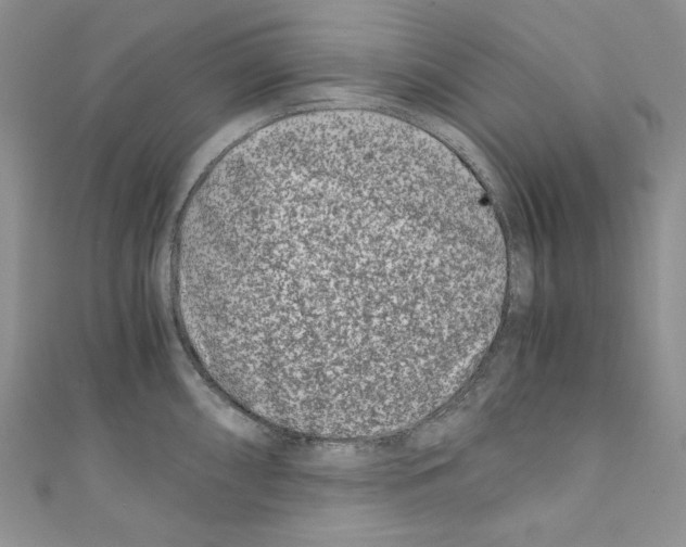 X0000110671098200907241017