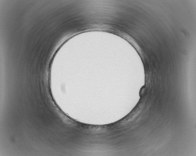 X0000110671099200907241017