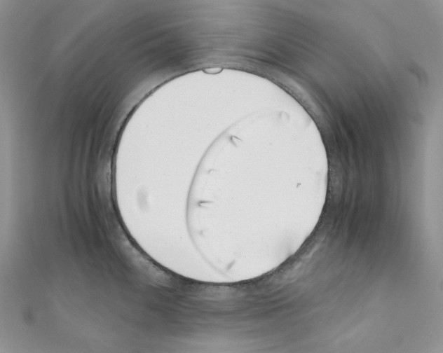 X0000110671100200907241017