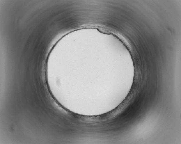 X0000110671102200907241017