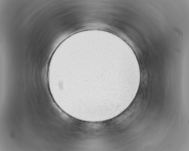 X0000110671103200907241017