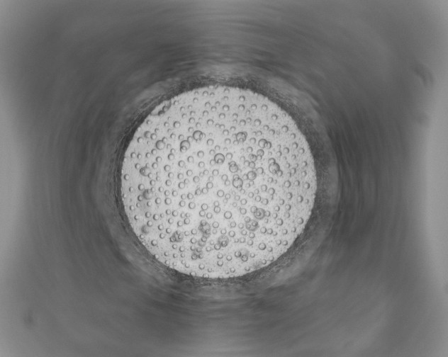 X0000110671105200907241016
