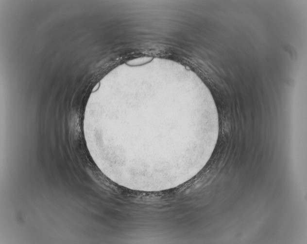X0000110671106200907241016