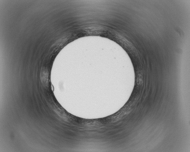 X0000110671108200907241016
