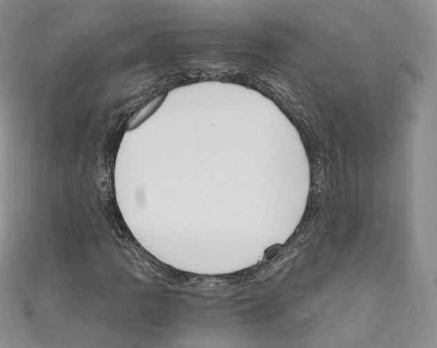 X0000110671109200907241016