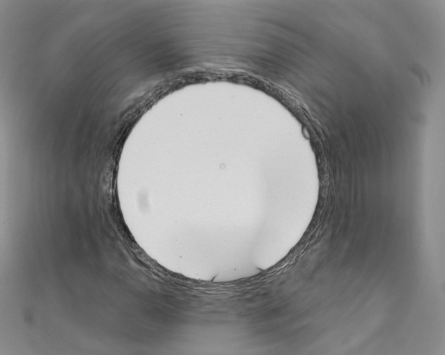 X0000110671110200907241016