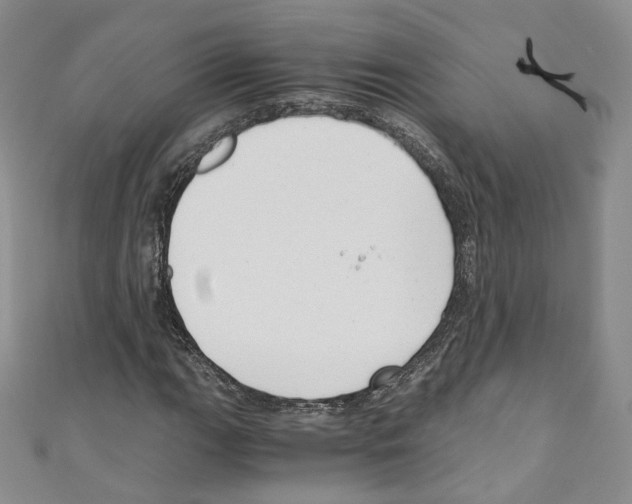 X0000110671111200907241016