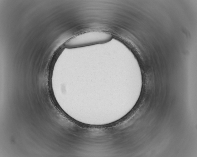 X0000110671114200907241017