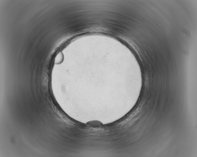 X0000110671115200907241017