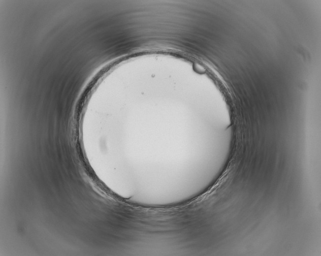 X0000110671116200907241017
