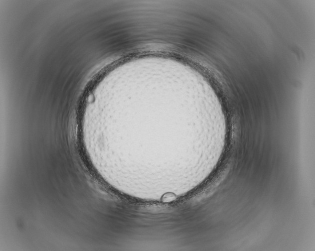 X0000110671117200907241017