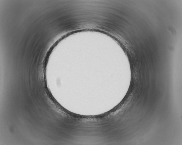 X0000110671118200907241017