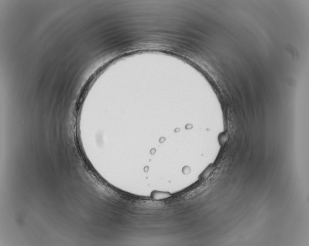 X0000110671119200907241017