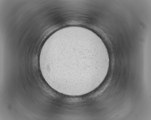 X0000110671121200907241017