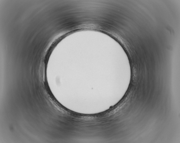 X0000110671123200907241017