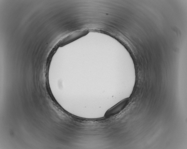 X0000110671124200907241017