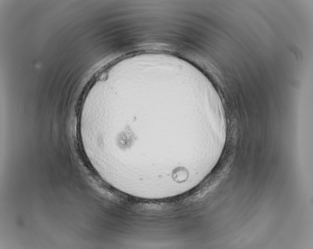 X0000110671125200907241017