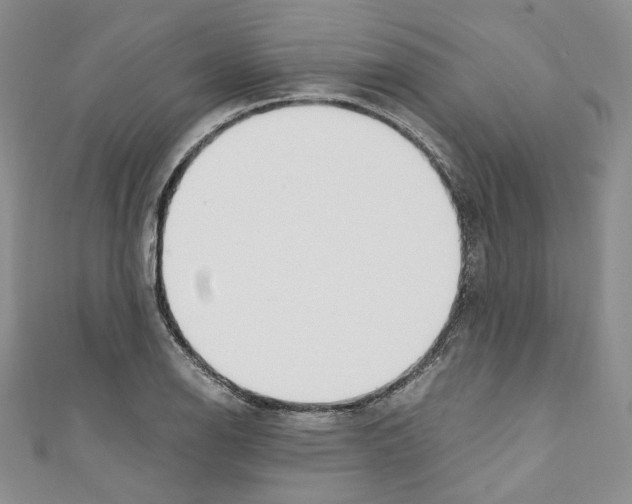 X0000110671126200907241017