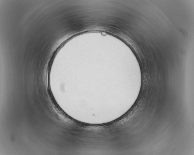 X0000110671127200907241017